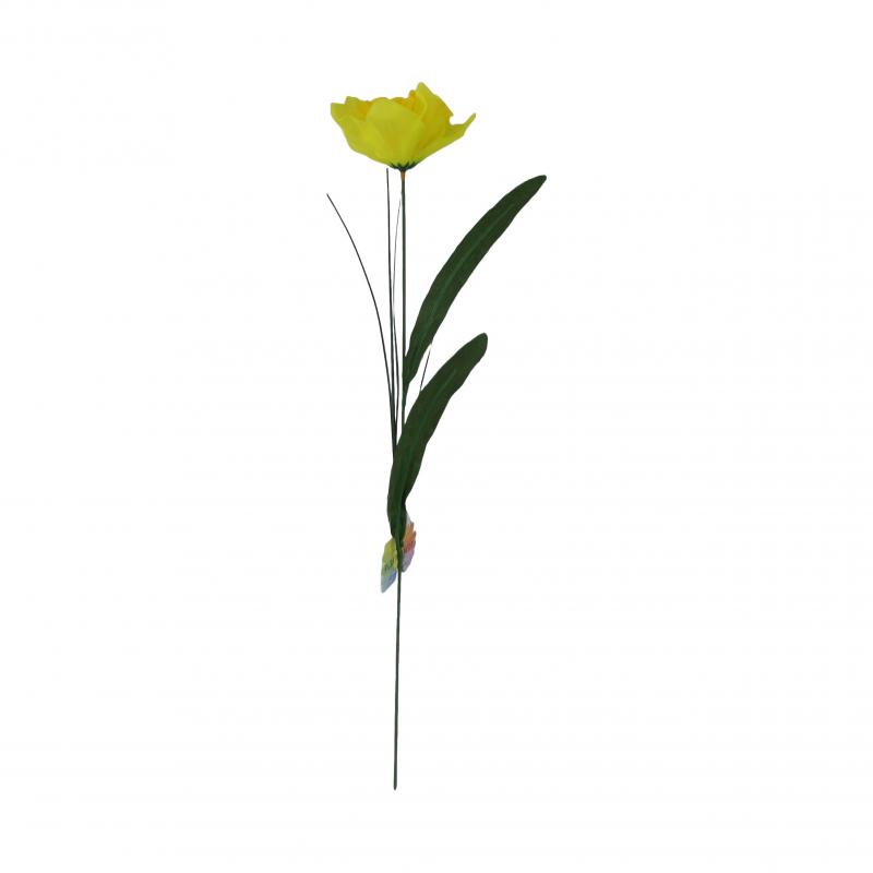 Żonkil 50cm